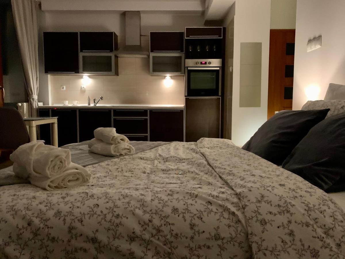 City View Wellness Apartment Swim&Steam&Relax Krasków Eksteriør bilde